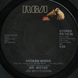 Mr. Mister Broken Wings / Uniform Of Youth Vinyl 7" USED