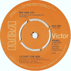 New York City I'm Doin' Fine Now Vinyl 7" USED