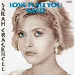 Sarah Cracknell Love Is All You Need Vinyl 7" USED