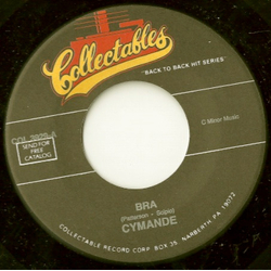 Cymande Bra / The Message Vinyl 7" USED