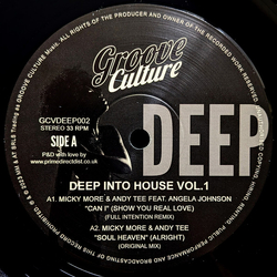 Various Deep Into House Vol.1 Vinyl 12" USED