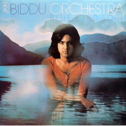 Biddu Orchestra Blue-Eyed Soul Vinyl LP USED