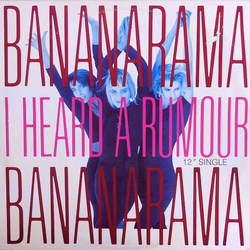 Bananarama I Heard A Rumour Vinyl 12" USED