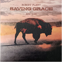 Robert Plant / Suzi Dian Saving Grace Vinyl LP USED