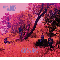 The Sadies New Seasons Vinyl LP USED