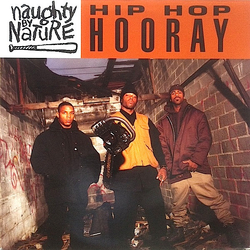 Naughty By Nature Hip Hop Hooray Vinyl 12" USED