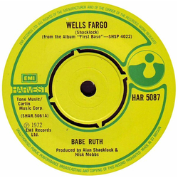 Babe Ruth Wells Fargo Vinyl 7" USED
