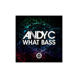 Andy C What Bass Vinyl 12" USED