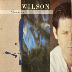 Brian Wilson Brian Wilson Vinyl LP USED