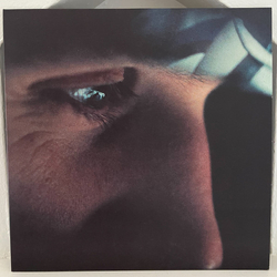 Oliver Coates Pillion Vinyl LP USED