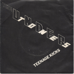 The Undertones Teenage Kicks Vinyl 7" USED