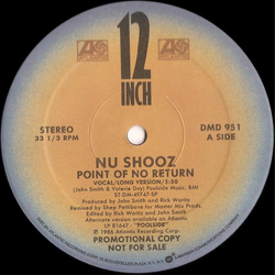Nu Shooz Point Of No Return Vinyl 12" USED