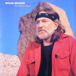 Willie Nelson The Promiseland LP Album Car