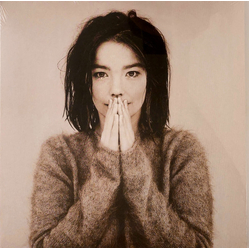 Bjork Debut Vinyl LP USED