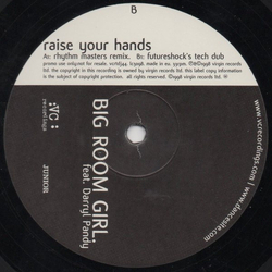 Big Room Girl / Darryl Pandy Raise Your Hands Vinyl 12" USED