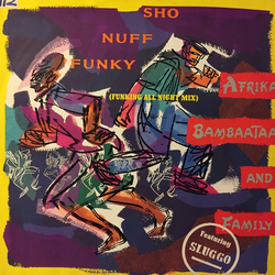 Afrika Bambaataa & Family Sho Nuff Funky (Funking All Night Mix) Vinyl 12" USED