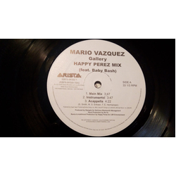Mario Vazquez Gallery Vinyl 12" USED