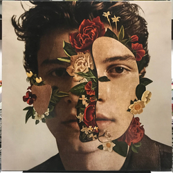 Shawn Mendes Shawn Mendes Vinyl LP USED