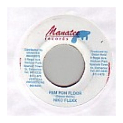 Niko Flexx Pam Pon Floor Vinyl 7" USED