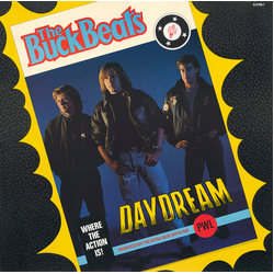 Buckbeats Daydream Vinyl 12" USED