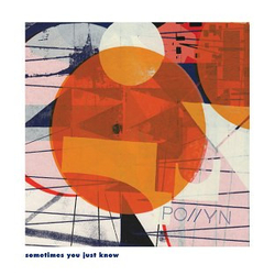 Pollyn Sometimes You Just Know Vinyl 12" USED