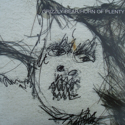 Grizzly Bear Horn Of Plenty Vinyl LP USED