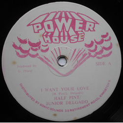 Half Pint Lindon Andrew Roberts / Junior Delgado I Want Your Love Vinyl 12" USED