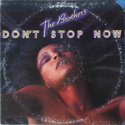 The Brothers Don't Stop Now Vinyl LP USED