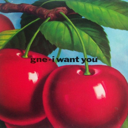 GNE I Want You Vinyl 12" USED