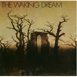 Various The Waking Dream Vinyl LP USED
