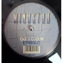 DJ I.C.O.N. Erbgut Vinyl 12" USED