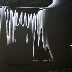 Spektrum Kinda New (Tiefschwarz Mixes) Vinyl 12" USED