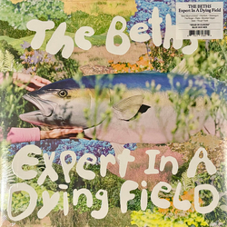 The Beths Expert In A Dying Field Vinyl LP USED