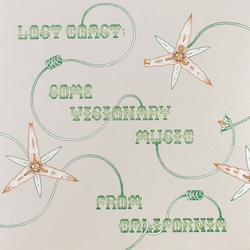 Various Lost Coast: Some Visionary Music from California, 1980–1992 Vinyl LP USED