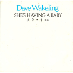 Dave Wakeling She's Having A Baby Vinyl 7" USED