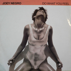 Joey Negro Do What You Feel Vinyl 12" USED