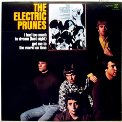 The Electric Prunes The Electric Prunes Vinyl LP USED