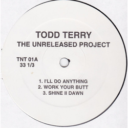 Todd Terry The Unreleased Project Vinyl 12" USED