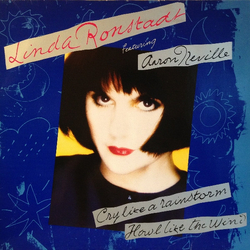 Linda Ronstadt / Aaron Neville Cry Like A Rainstorm - Howl Like The Wind Vinyl LP USED