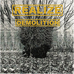 Realize (4) Demolition Vinyl 12" USED