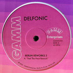 Delfonic Berlin Reworks 3 Vinyl 12" USED