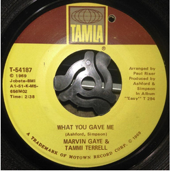 Marvin Gaye / Tammi Terrell What You Gave Me Vinyl 7" USED
