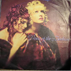 Voice Of The Beehive Perfect Place Vinyl 7" USED