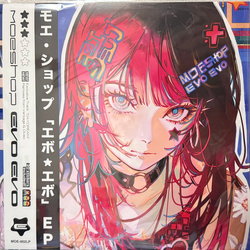 Moe Shop Evo Evo Vinyl 12" USED