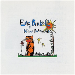 Edie Brickell & New Bohemians Shooting Rubberbands At The Stars Vinyl LP USED