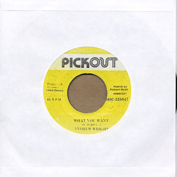 Andrew Wright (5) What You Want Vinyl 7" USED
