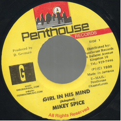 Mikey Spice Girl In His Mind Vinyl 7" USED