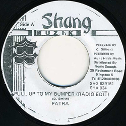 Patra Pull Up To My Bumper Vinyl 7" USED