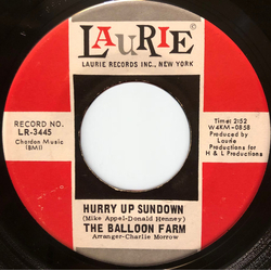 The Balloon Farm Hurry Up Sundown Vinyl 7" USED