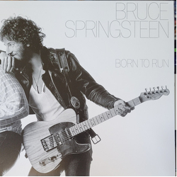 Bruce Springsteen Born To Run Vinyl LP USED